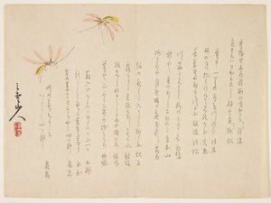 Mosquitoes by Sanai sanjin